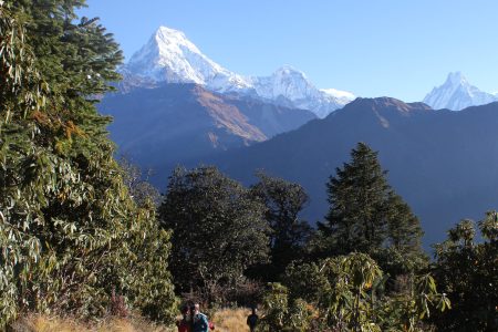 Langtang Helambu Trek